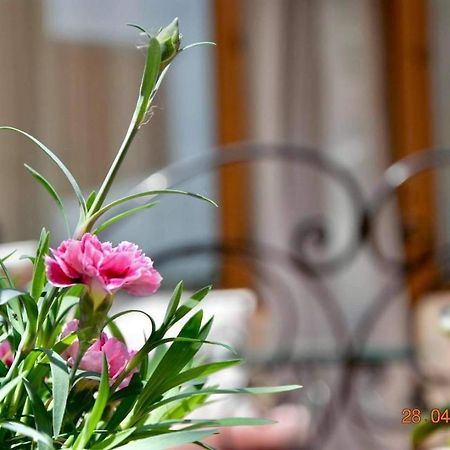 Princess Apartment ساندانسكي المظهر الخارجي الصورة