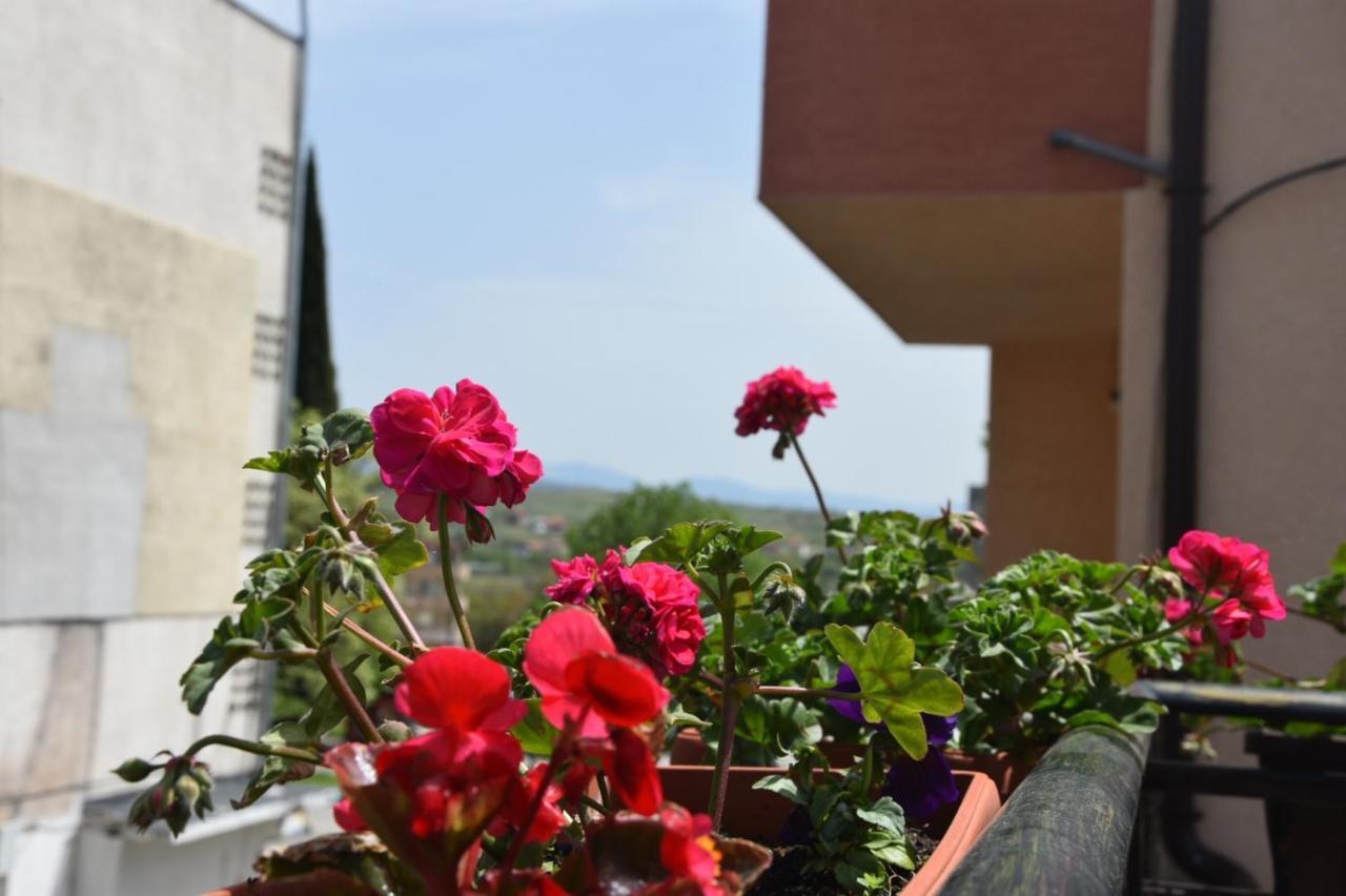 Princess Apartment ساندانسكي المظهر الخارجي الصورة