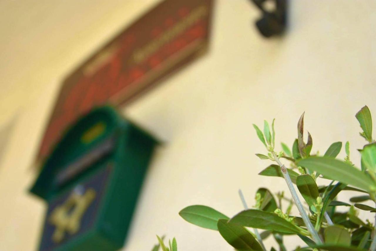 Princess Apartment ساندانسكي المظهر الخارجي الصورة