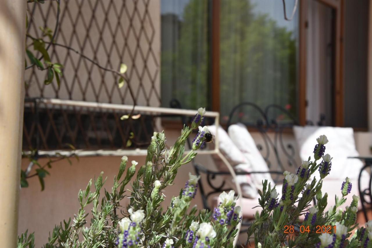 Princess Apartment ساندانسكي المظهر الخارجي الصورة